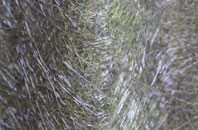 Tre Aubrey fibreglass roof work